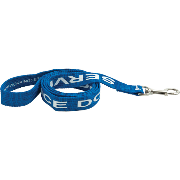 blue polyester dog lead