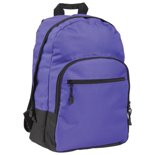 purple halstead backpack with a black zip