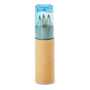 petit lambut coloured pencil tube with blue lid