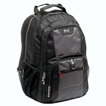 Picture of Wenger Pillar Backpack