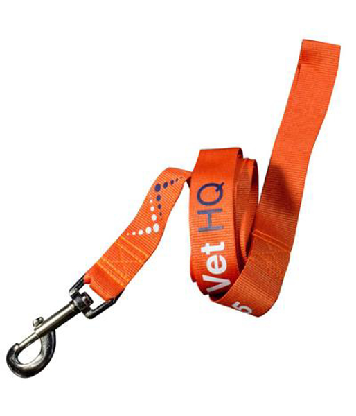 Dog Lead - 25mm in orange with 2 colour print logo