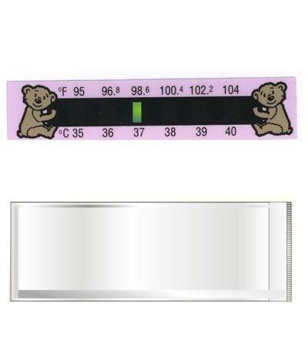 childrens strip thermometer and case