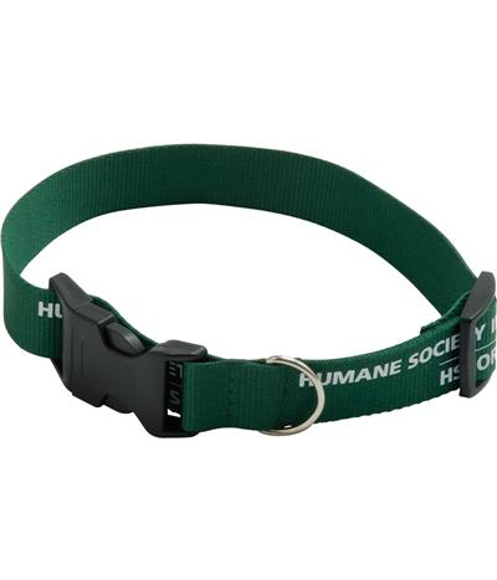 green dog collar