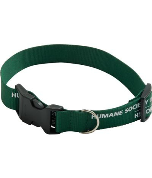 green dog collar