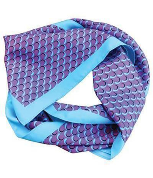 Polyester Printed Scarf with blue trim and pattern