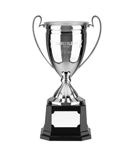 Picture of Sports Trophy