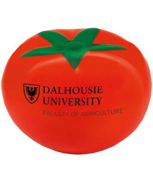 Tomato shaped stress toy