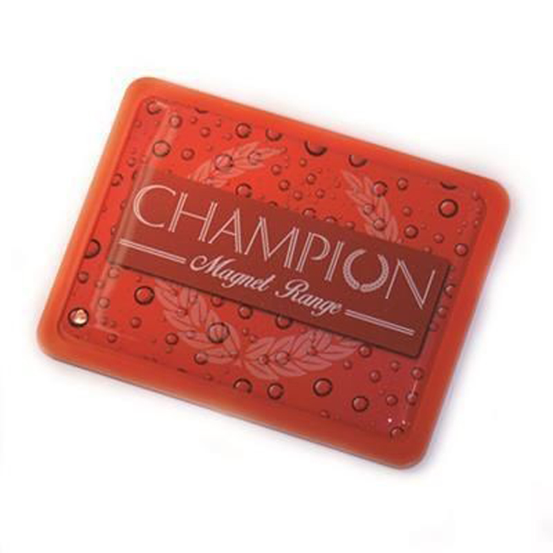 red champion rectangular magnet
