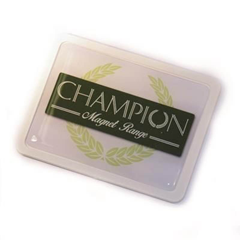 white champion rectangular magnet
