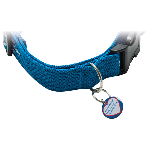 Picture of Dog Collar Tags