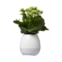 Picture of Green Thumb Flower Pot Speaker