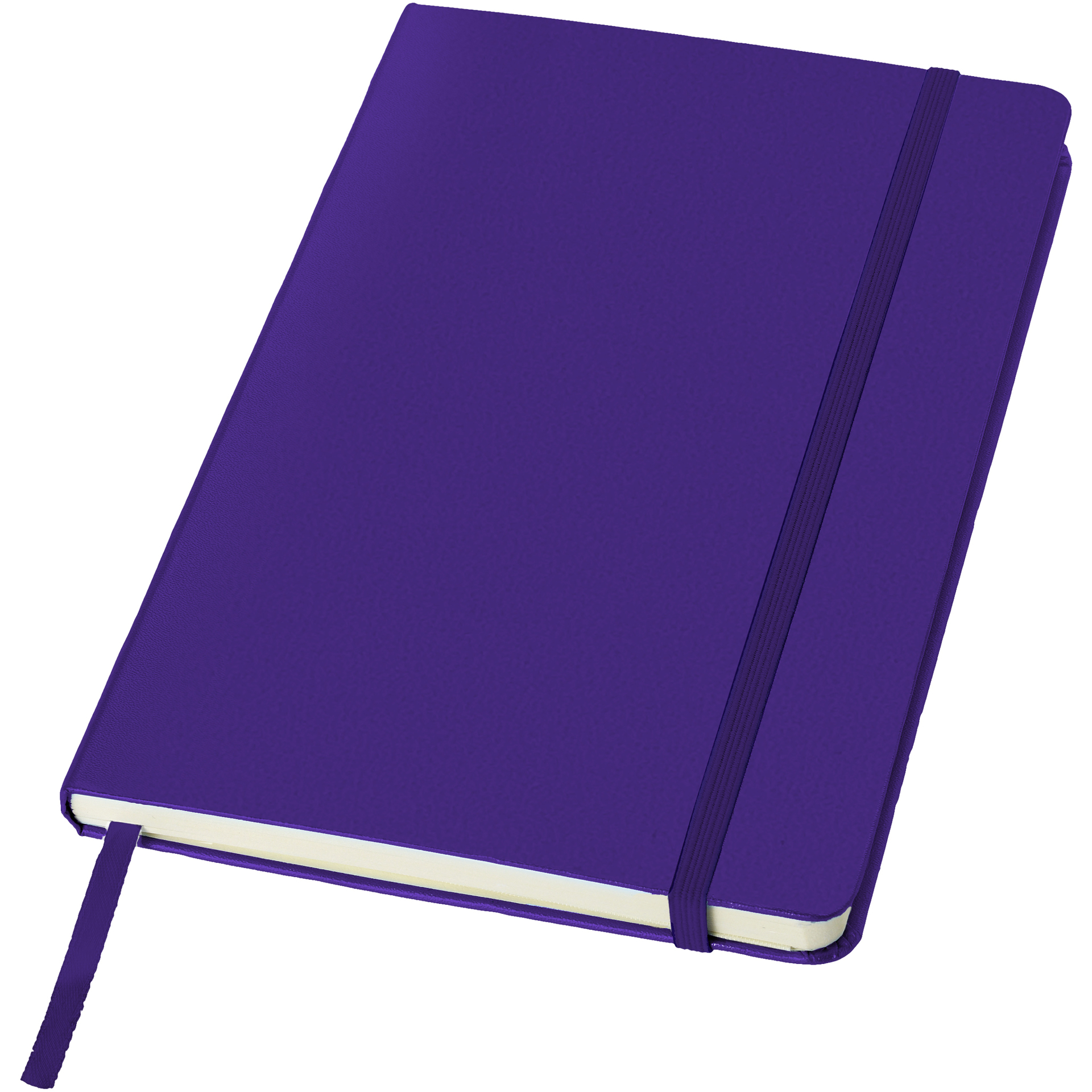 A5 hard cover notebook in purple with purple elastic closure and ribbon