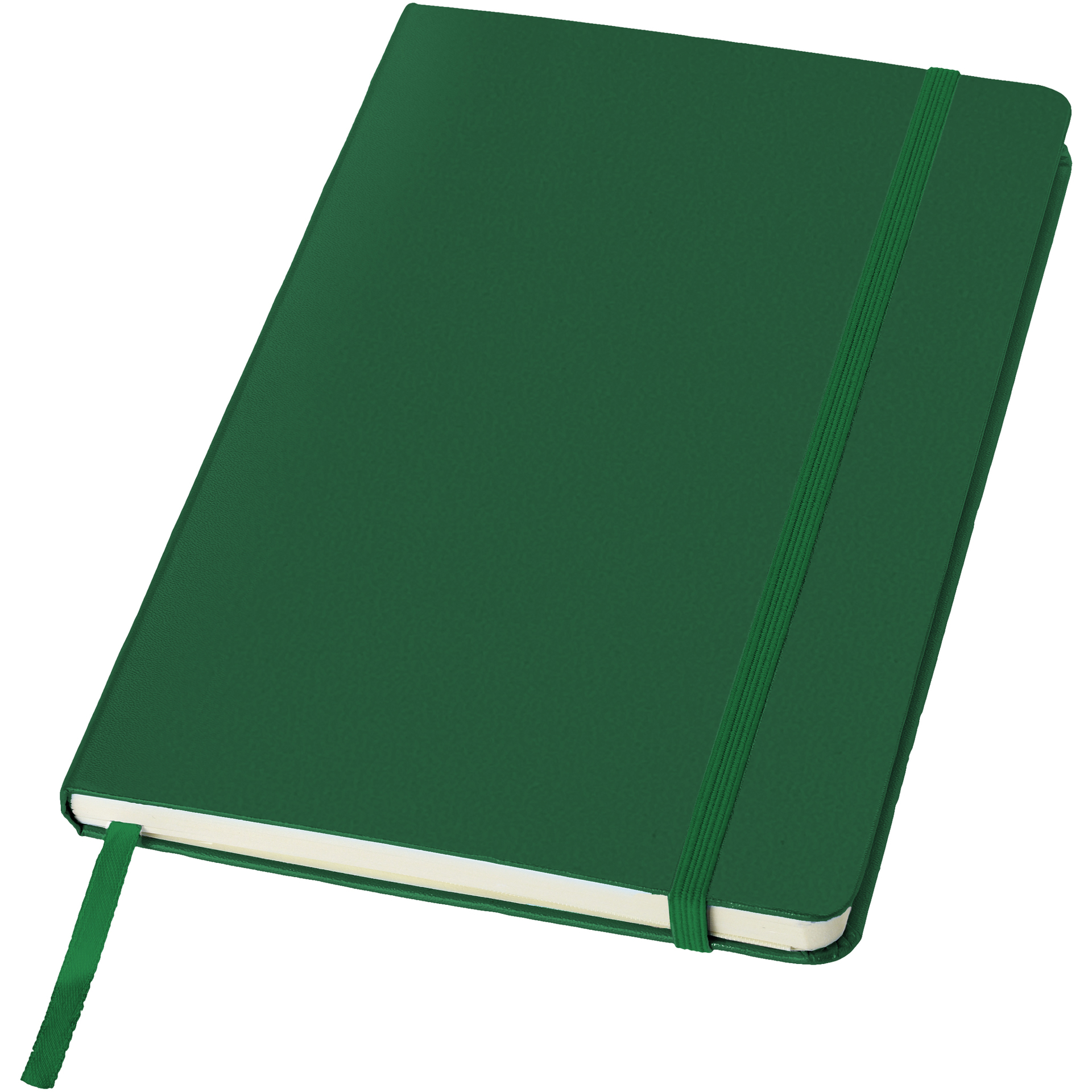 A5 hard cover notebook in green with green elastic closure and ribbon
