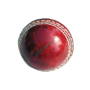 Mini Version Of The Traditional Cricket Ball