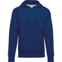 Organic Hoodie in blue