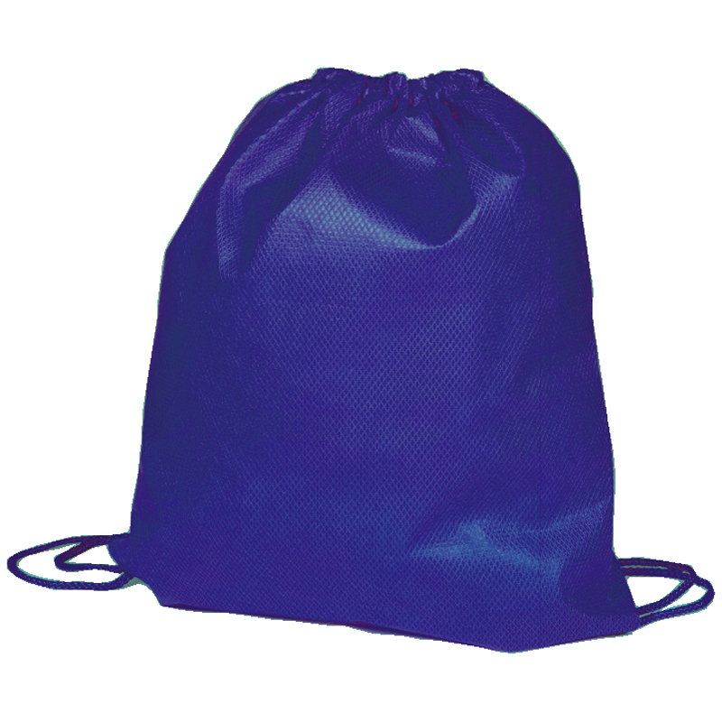 Rainham Drawstring Bag in blue