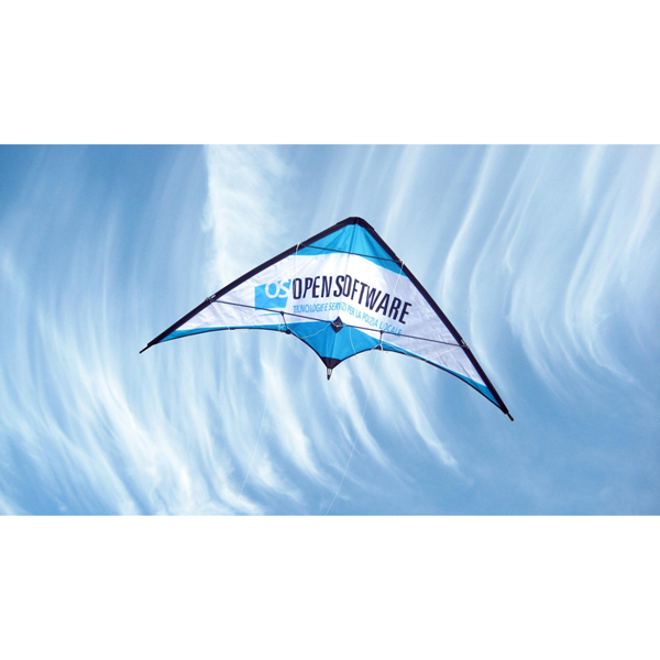 Picture of Small Stunt Kite