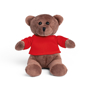 teddy bear with red tshirt