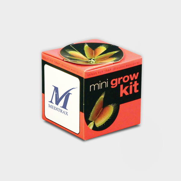 Picture of Tiny Terracotta Cube with seeds