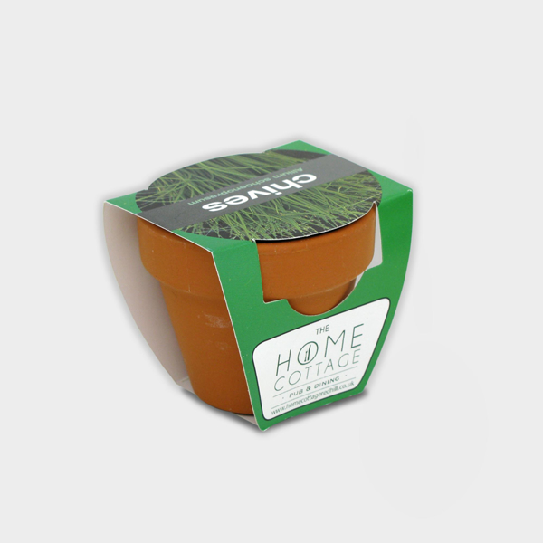 Picture of Tiny Terracotta Pot with seeds