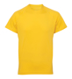 TriDri Panelled Tech Tee in yellow with crew neck