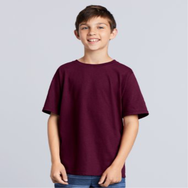 Picture of GILDAN HEAVY COTTON TSHIRT