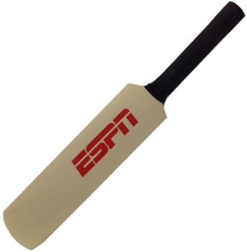 Mini Cricket Bat 12 inch