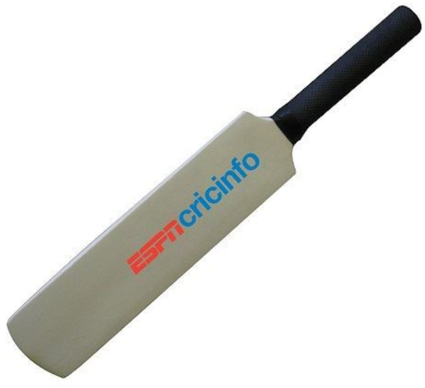 Mini Branded Cricket Bat 12 Inch