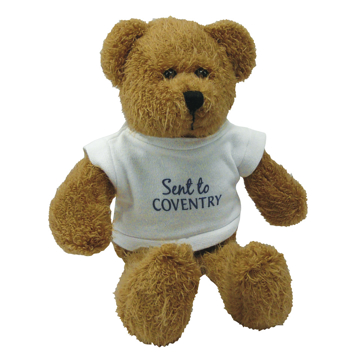 Show details for SCRAGGY 9" BEAR scraggy tshirt