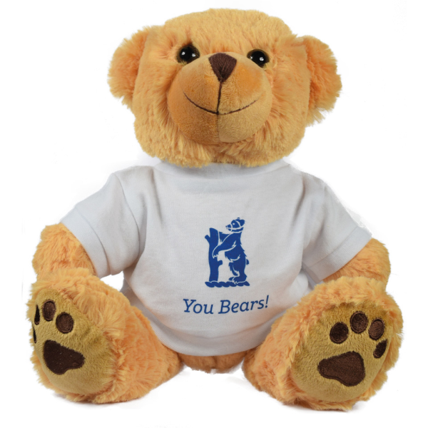 Picture of DEXTER BEAR 15"