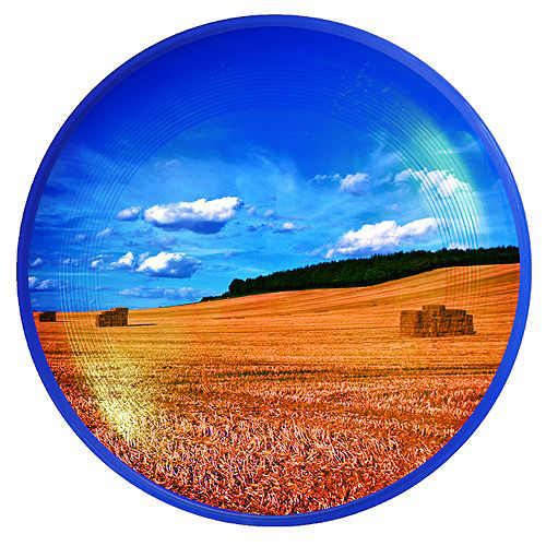 4 Colour Process Frisbee 26cm in blue with full colour print