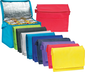 Rainham 6 Can Cool Bag in various colours