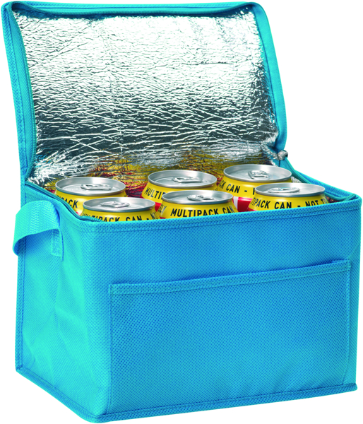 Picture of Rainham 6 Can Cool Bag