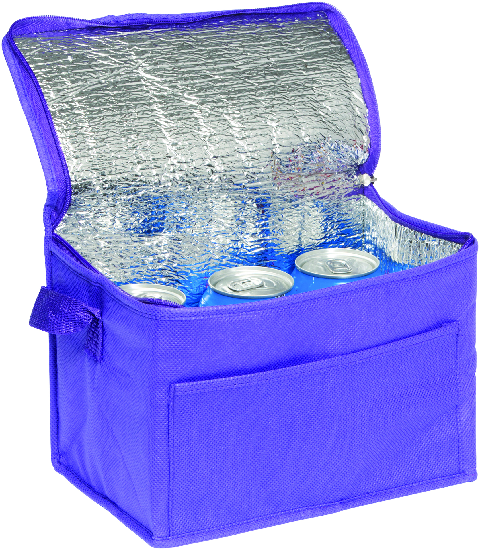 Rainham 6 Can Cool Bag in purple