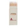 Abigail Coloured Pencils in carton box with 1 colour print