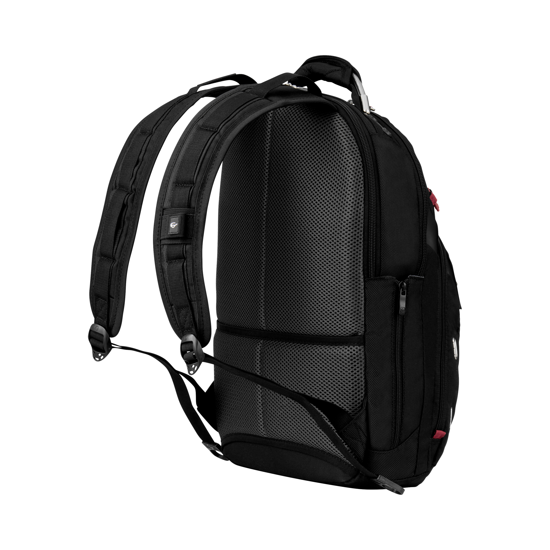 Wenger Gigabyte Backpack showing back of rucksack