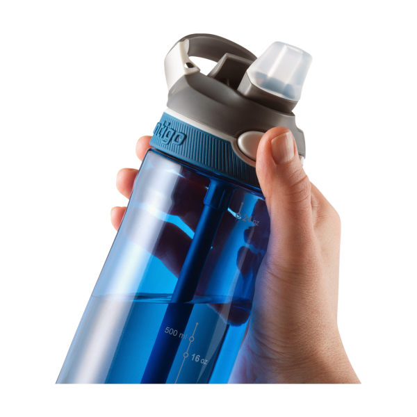 Picture of CONTIGO ASHLAND 720ML BOTTLE