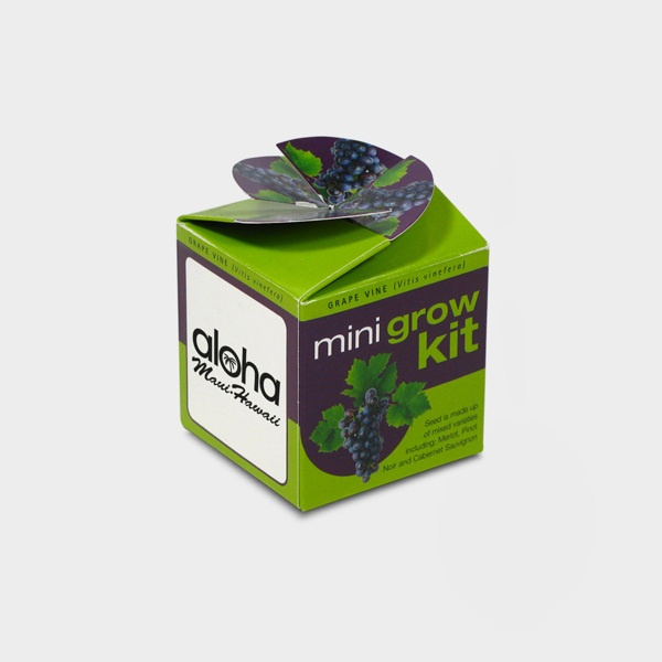 Picture of Tiny Terracotta Cube with seeds