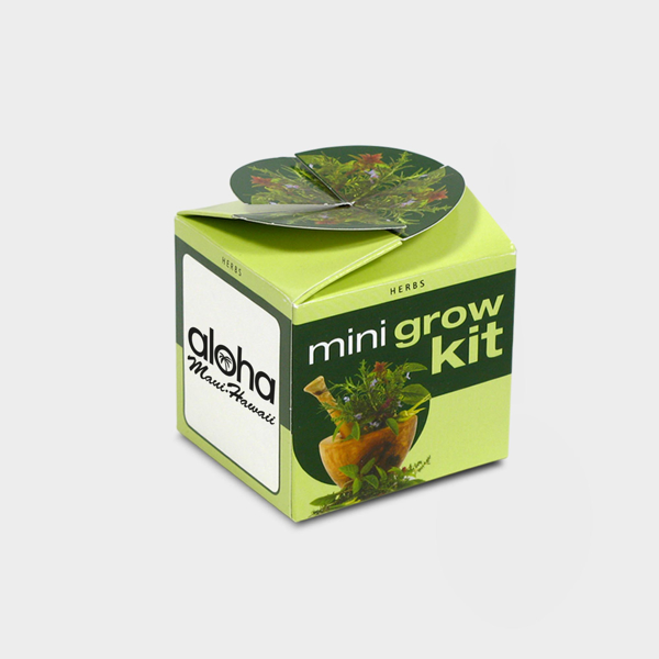 Picture of Tiny Terracotta Cube with seeds