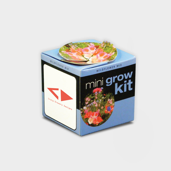 Picture of Tiny Terracotta Cube with seeds