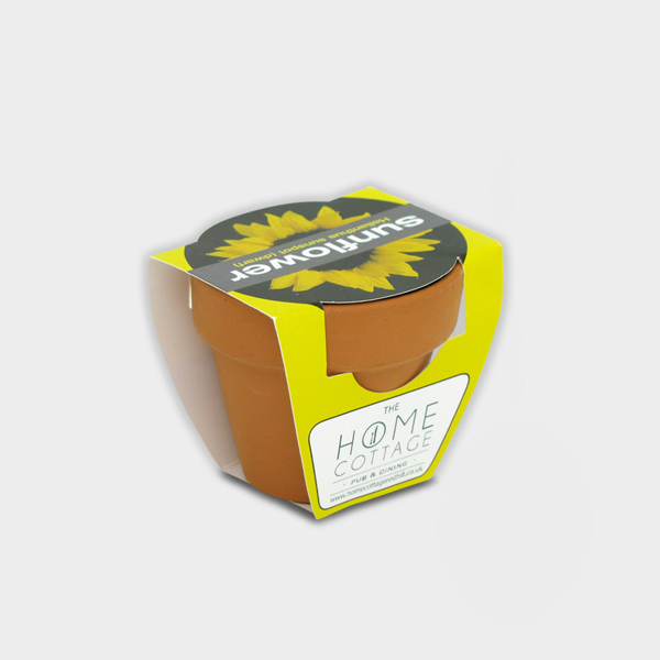 Picture of Tiny Terracotta Pot with seeds