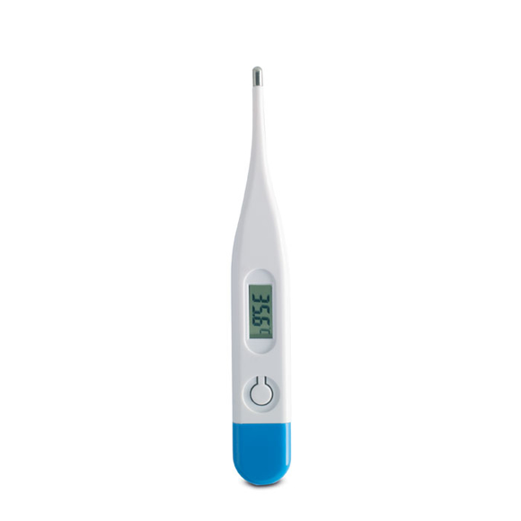 Picture of Digitemp Thermometer