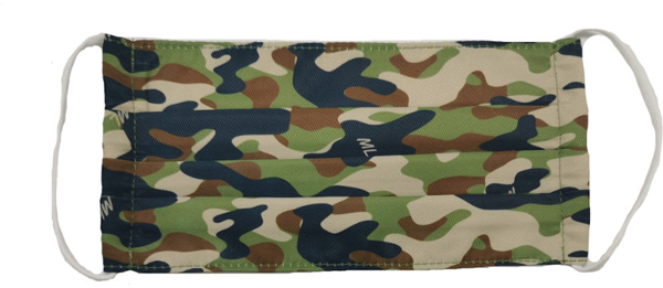 Picture of Pleated Face Mask