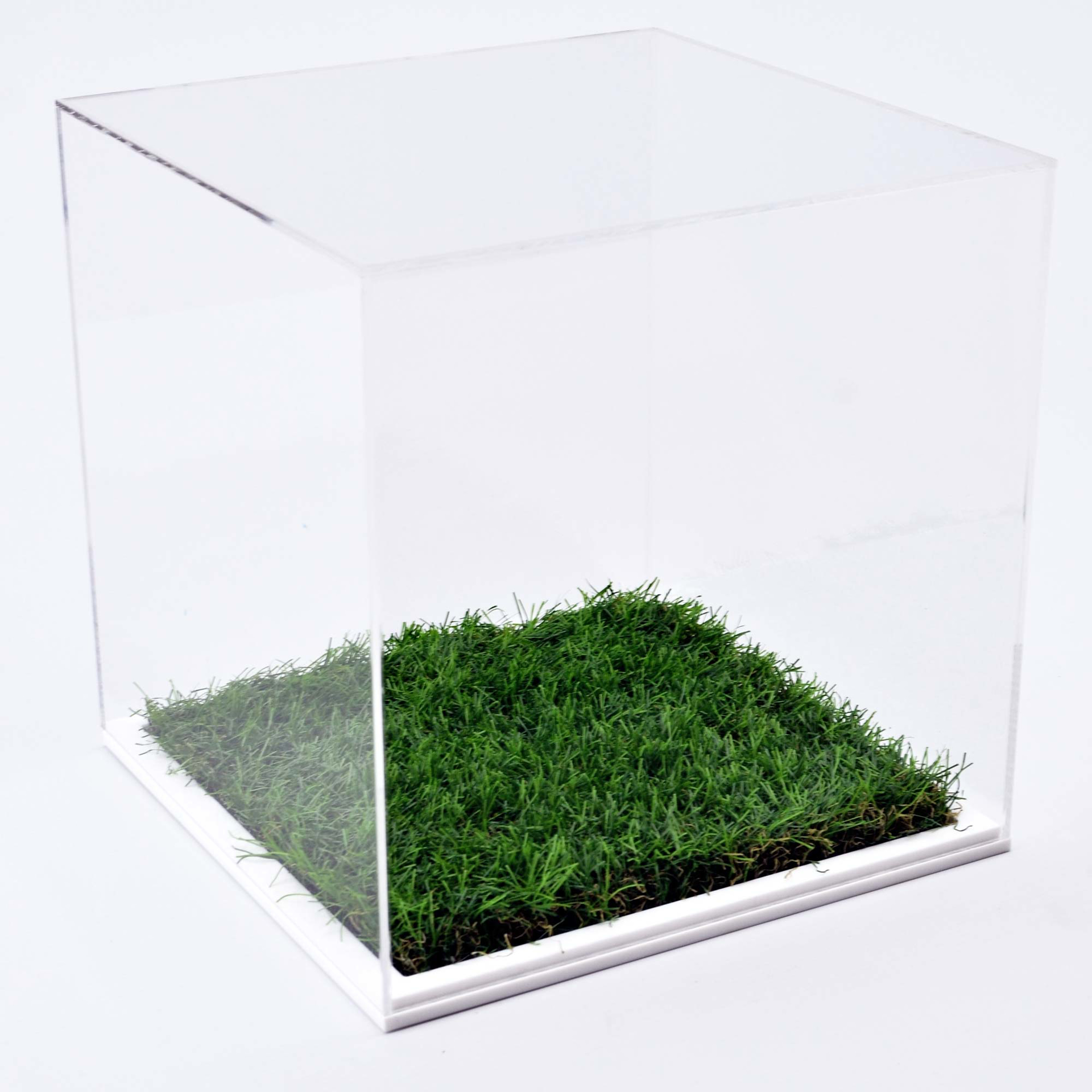Acrylic Football Display Case with grass base
