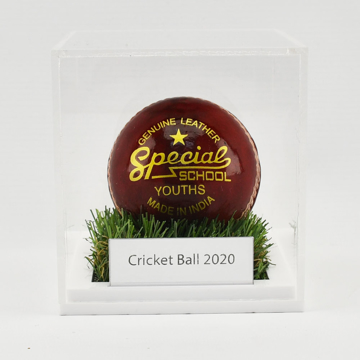 Acrylic Cricket Ball Display Case  with cricket ball on grass base and engraved plaque