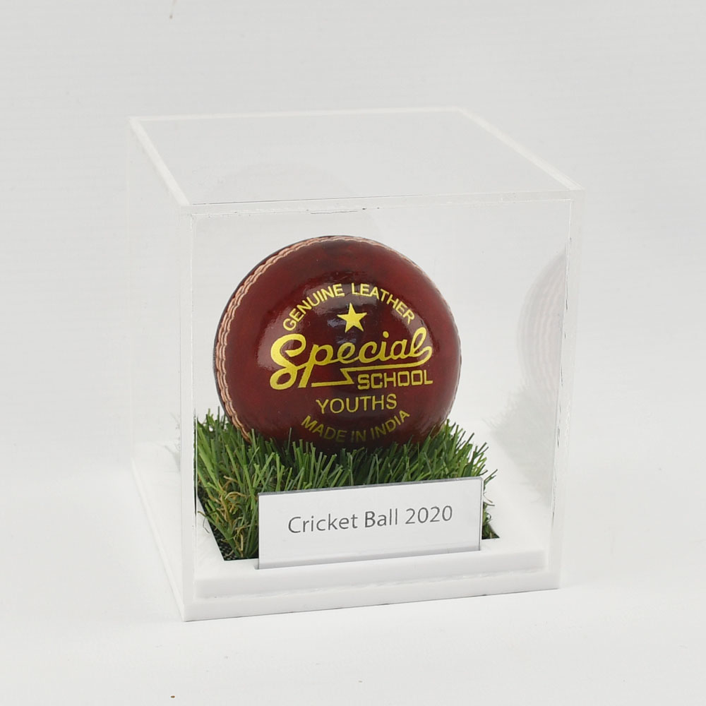 Acrylic Cricket Ball Display Case with cricket ball on grass base and engraved plaque at angle