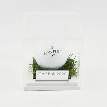 Golf Ball Display Case with gold ball on glass base with engraved plaque