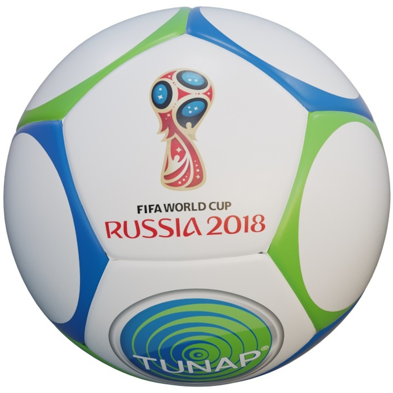 Size 5 football 12 panels printed with world cup logo