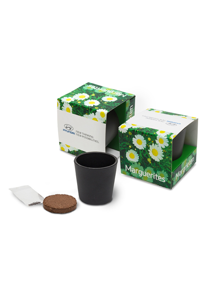 CERAMIC GROW KIT