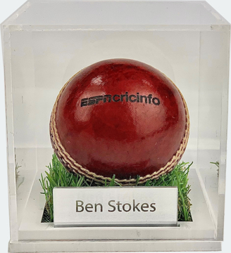 Leather cricket ball in clear display case